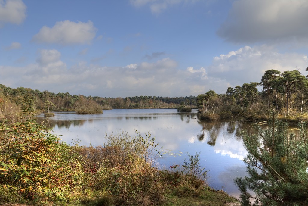 Oisterwijkse Bossen en Vennen Kampina natuurgebied natuur oisterwijk Nationaal park Landschap Het Groene Woud hei heide bossen natuurmonumenten brabant baronie boswachterij dorst